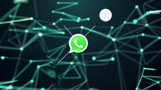 WhatFlow.ai Animated Illustration